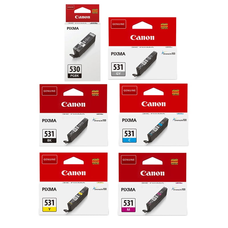 Product image for Canon PGI-530PGBK/CLI-531/GY Full Set Standard Capacity Original Inkjet Printer Cartridges - Small