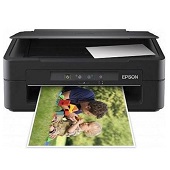 Epson Expression Home XP-102 Ink Cartridges