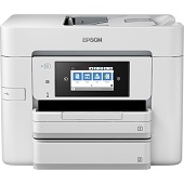 Epson WorkForce Pro WF-4745DTWF Ink Cartridges