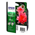 Epson T013 Black Original Ink Cartridge Twin Pack (Pink Flower) (T013401)