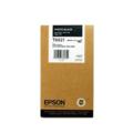 Epson T6021 Photo Black Original Standard Capacity Ink Cartridge (T602100)
