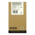 Epson T6029 Light Black Original Standard Capacity Ink Cartridge (T602900)