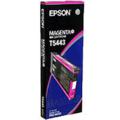 Epson T5443 Magenta Original Ink Cartridge (220 ml) (T554200)