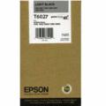 Epson T6027 Light Black Original Standard Capacity Ink Cartridge (T602700)